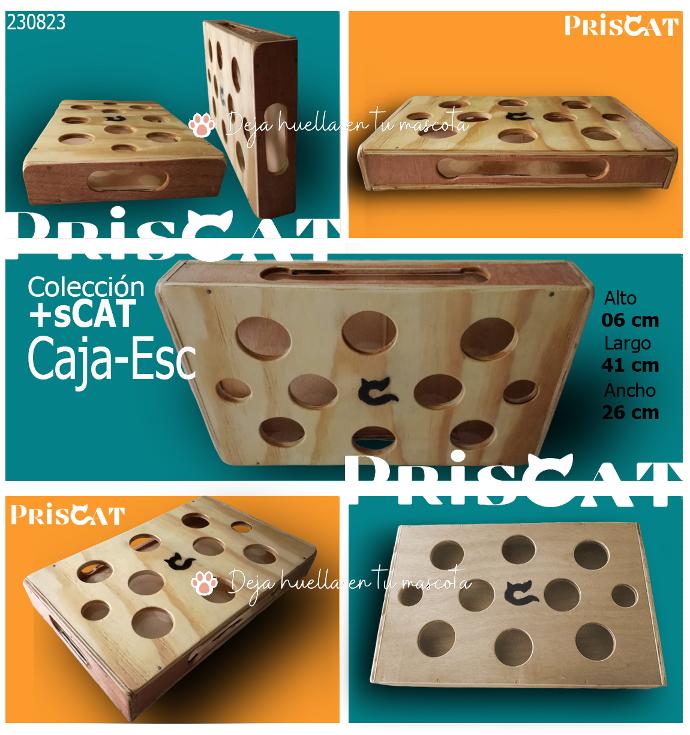 +sCAT Cod 01 Caja Escondite (Juguete)